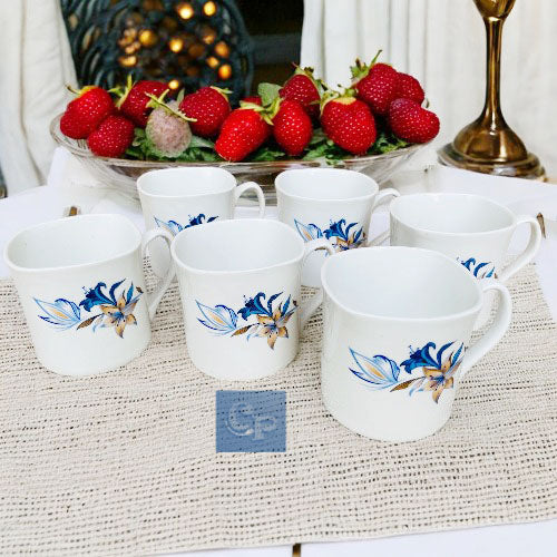 Cp bone chian chain 6 pc cup