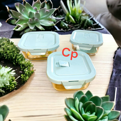 Container Tiffin 3 Pc