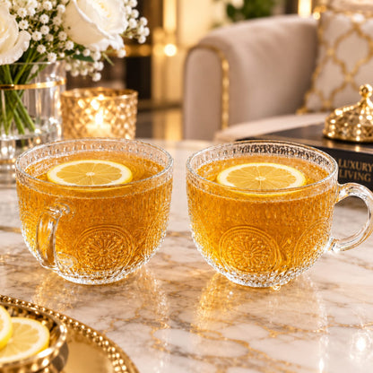 premium glass soup mug set of 2 pc